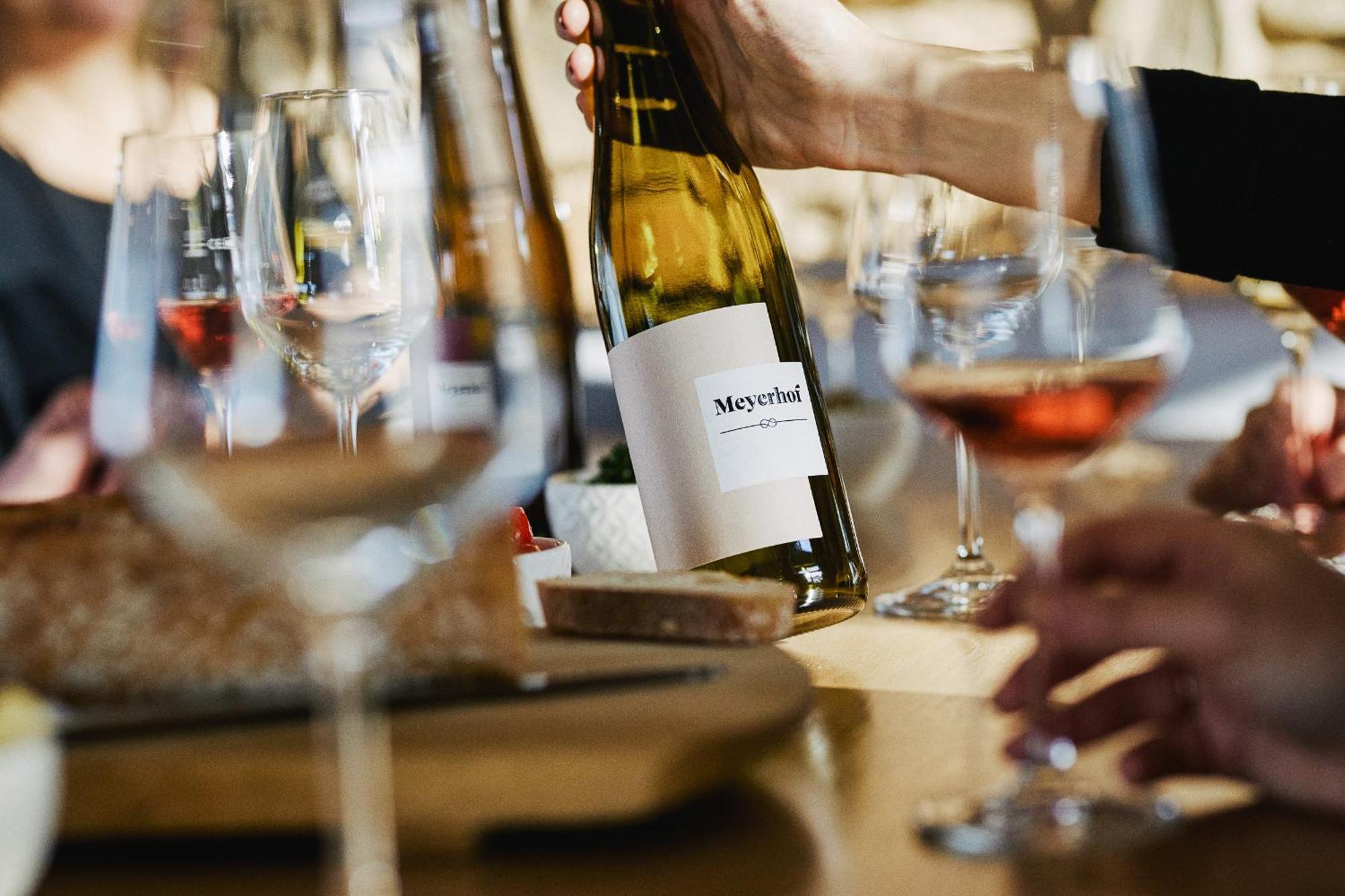 Meyerhof - Bioweingut, Vinothek & Gaestehaus 弗隆海姆 外观 照片
