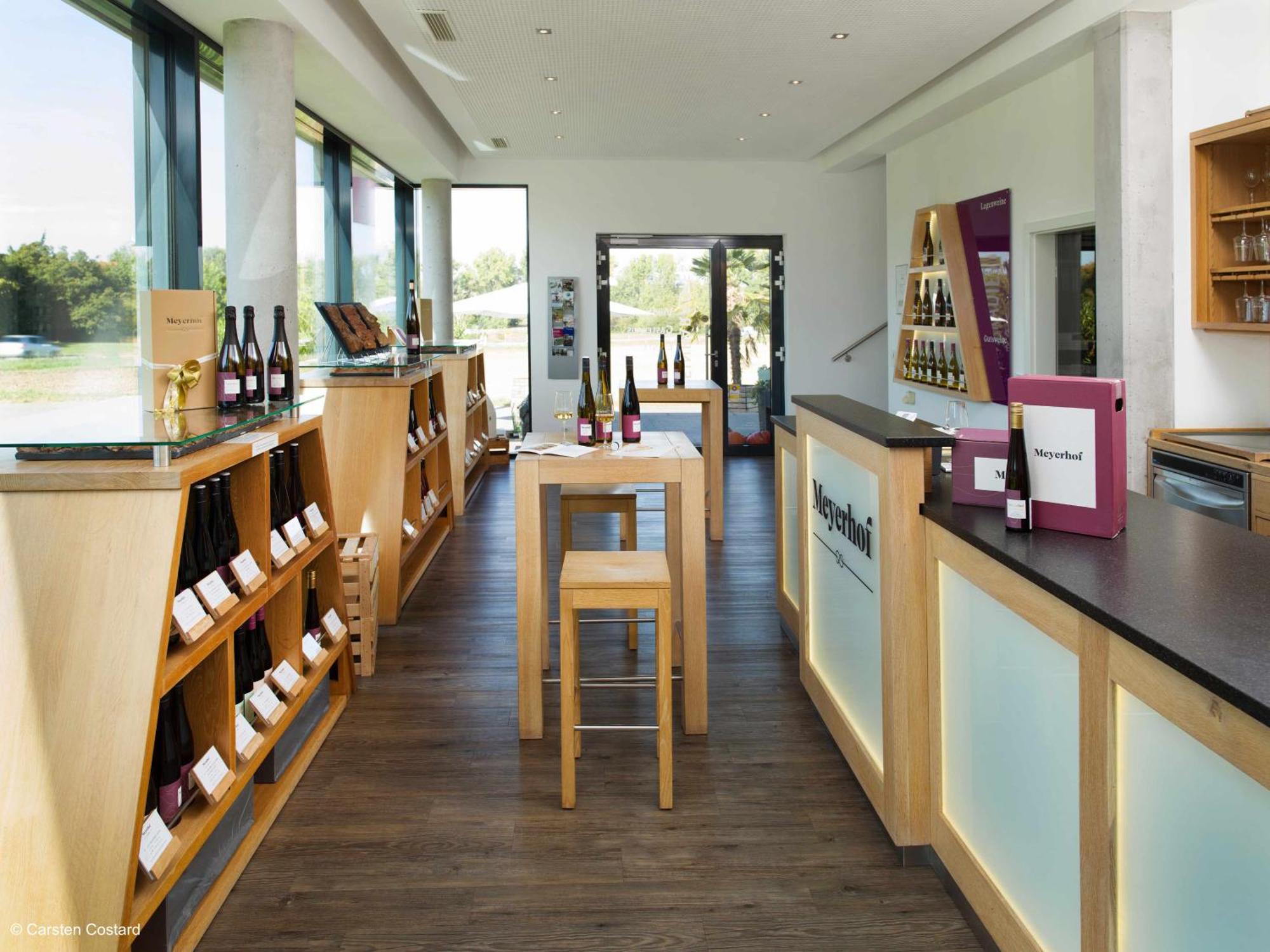 Meyerhof - Bioweingut, Vinothek & Gaestehaus 弗隆海姆 外观 照片