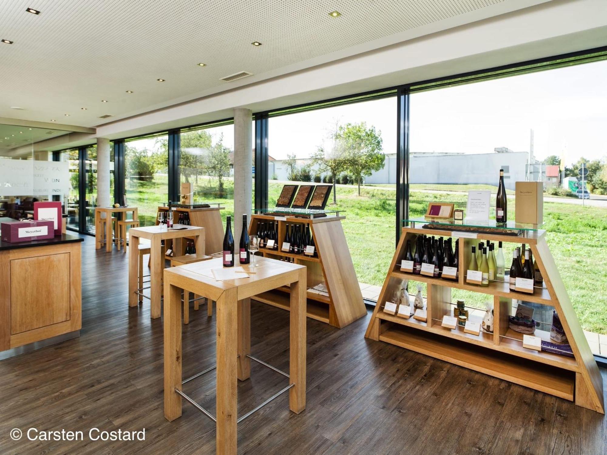 Meyerhof - Bioweingut, Vinothek & Gaestehaus 弗隆海姆 外观 照片