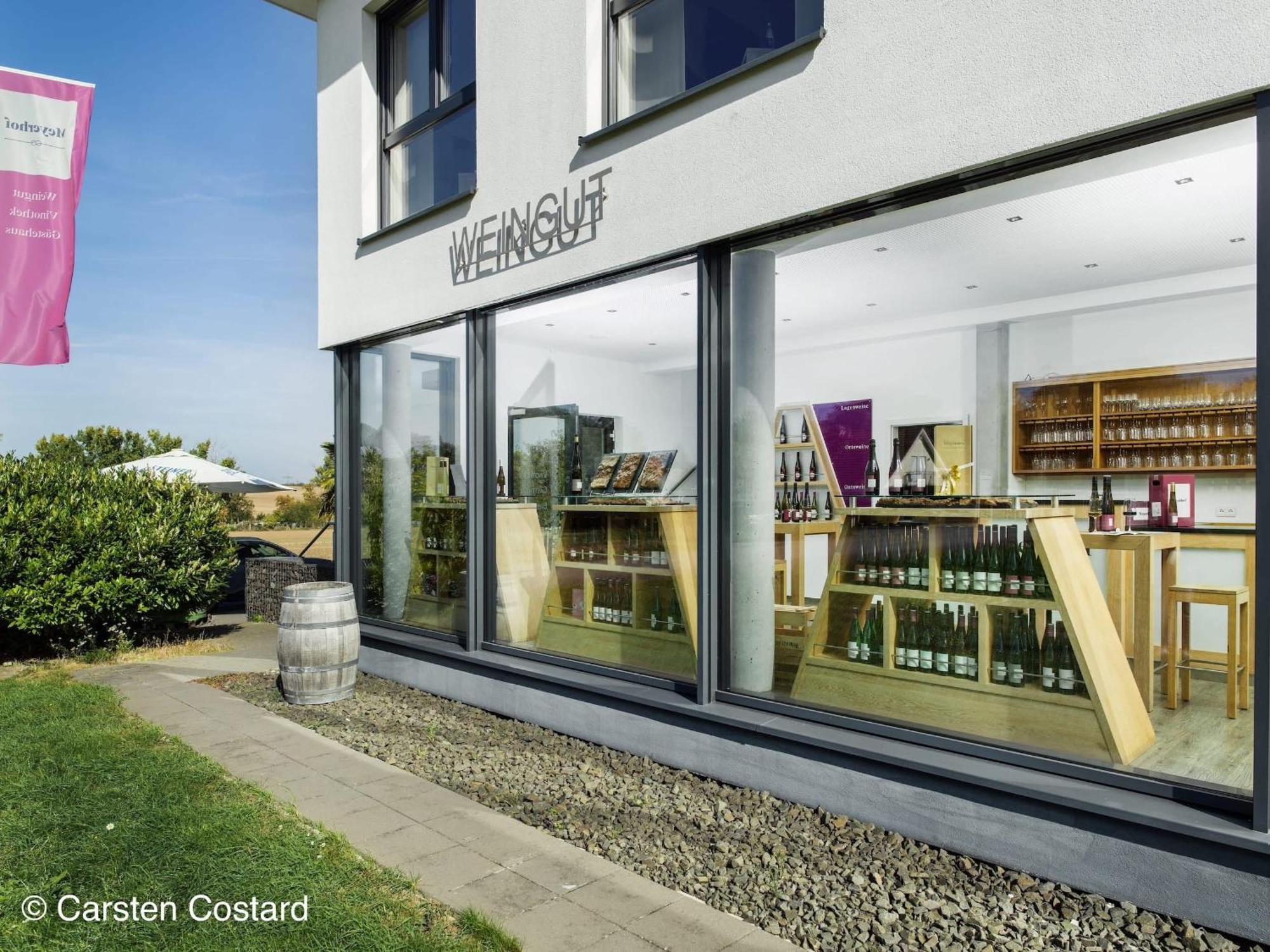 Meyerhof - Bioweingut, Vinothek & Gaestehaus 弗隆海姆 外观 照片