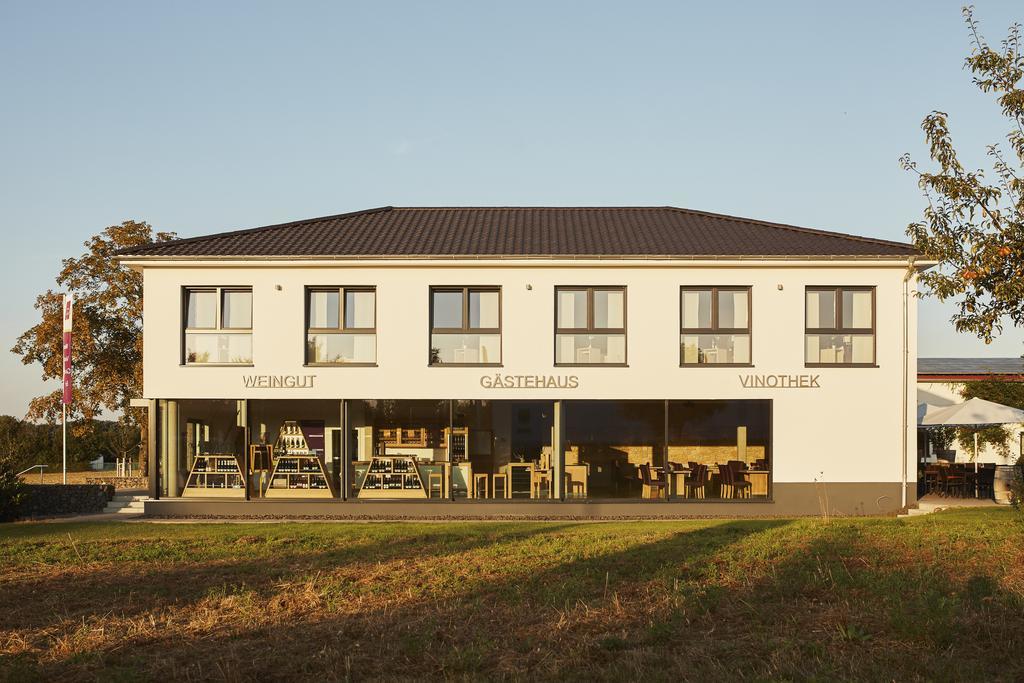 Meyerhof - Bioweingut, Vinothek & Gaestehaus 弗隆海姆 外观 照片