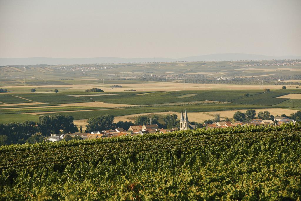 Meyerhof - Bioweingut, Vinothek & Gaestehaus 弗隆海姆 外观 照片