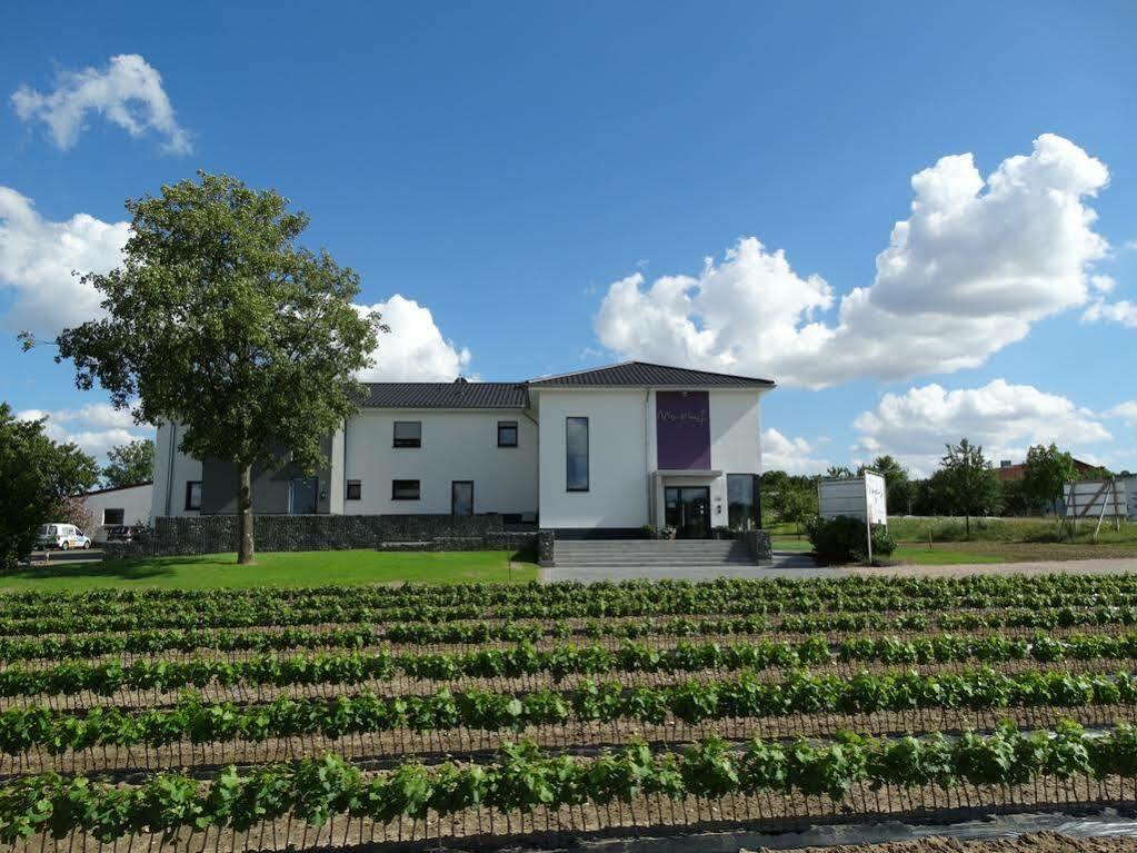 Meyerhof - Bioweingut, Vinothek & Gaestehaus 弗隆海姆 外观 照片